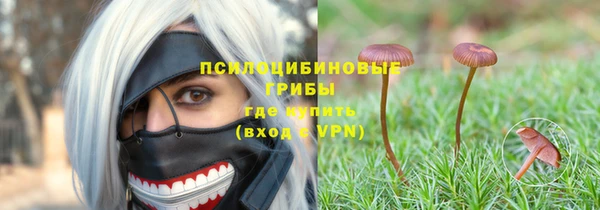 прущие грибы Карпинск
