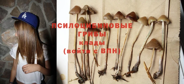 прущие грибы Карпинск