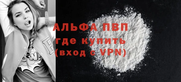 прущие грибы Карпинск