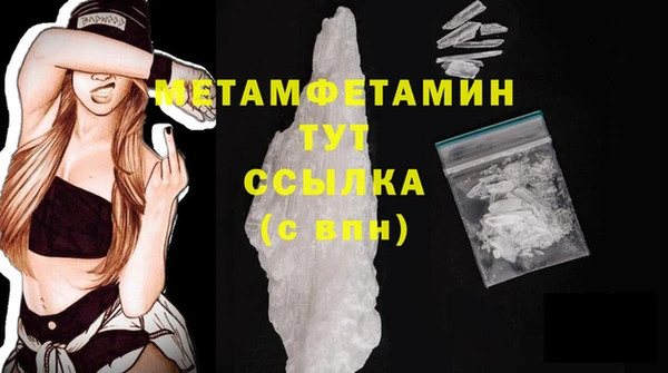 прущие грибы Карпинск