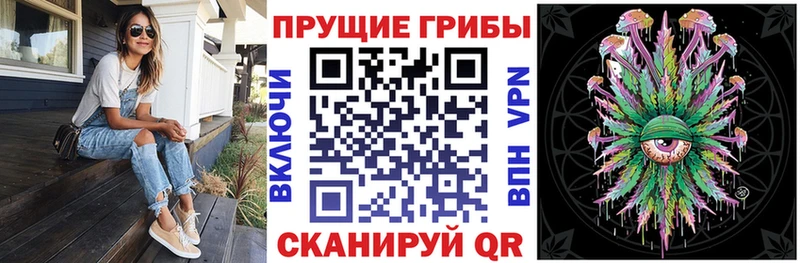 Купить закладки  Углегорск  Псилоцибиновые грибы ЛСД 
